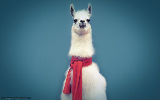 Lama